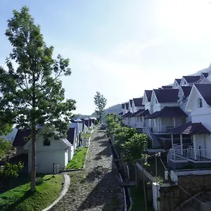 Mirth And Resorts India